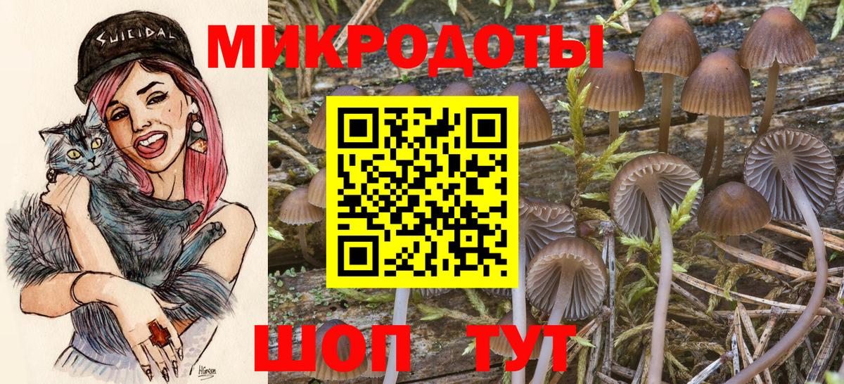 Псилоцибиновые грибы Psilocybe  Вход с VPN  Свободный 
